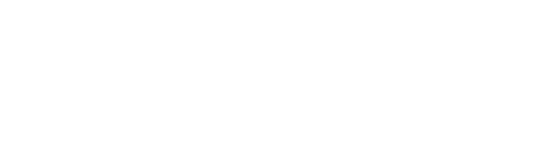 Robins-Insurance-Logo-White-800