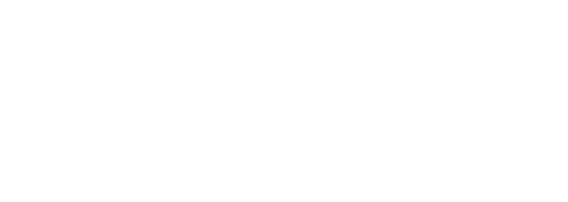 Robins Insurance - Logo 800 White